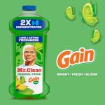 Mr. Clean All-Purpose Floor and Surface Cleaner