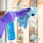 Dollar Clean Club 15-Pack Home Cleaning Kit