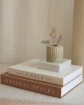 Decorative Book Boxes - Set of 2 for Home