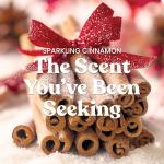 Yankee Candle Sparkling Cinnamon Large Jar 22oz