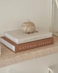 Decorative Book Boxes - Set of 2 for Home