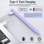Rechargeable Stylus Pen for Android and iOS Devices
