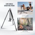 NEEWER 77" Camera Tripod Monopod with Cell Phone Holder Compatible with iPhone for Video Recording, Compact Aluminum Travel Stand with Ball Head QR Plate Bag Cleaning Cloth, Max Load 34lb, TP77