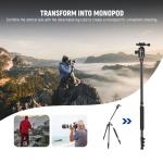 NEEWER 77" Camera Tripod Monopod with Cell Phone Holder Compatible with iPhone for Video Recording, Compact Aluminum Travel Stand with Ball Head QR Plate Bag Cleaning Cloth, Max Load 34lb, TP77