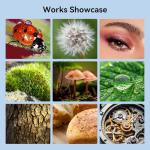 APEXEL HB100 Ultra HD Phone Macro Lens with 45 Lighting Options & AF Anti-Glare Macro Lens Suitable for iPhone, Samsung, Pixel and Other Smartphones