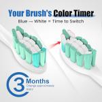 10 Pack Replacement Heads for Philips Sonicare