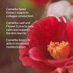 Shiseido Ultimune Power Infusing Serum 1.6 oz