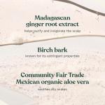 Ginger Scalp Care Shampoo for Dry Scalp