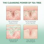 Tea Tree Body Wash for Refreshing Hydration