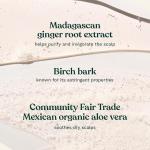 Ginger Scalp Care Shampoo for Dry Scalp