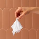 Honey Pot Feminine Wipes - 15 Individually Wrapped