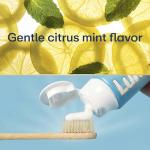 Lumineux Enamel-Safe Teeth Whitening Toothpaste 2-Pack