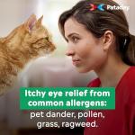 Pataday Extra Strength Daily Eye Relief Drops