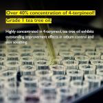 Teatree Oil Roll-On for Acne Spot Care