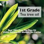 Teatree Oil Roll-On for Acne Spot Care