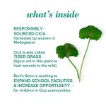 Burt's Bees Natural Acne Spot Treatment for Oily Skin