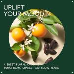 Aveda Cherry Almond Softening Conditioner for All Hair Types