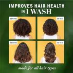 Herbal Essences Honey Moisture Conditioner for Dry Hair