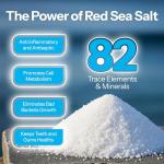 H2Ocean Healing Rinse Mouthwash - Fresh Arctic Mint