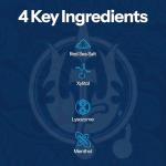 H2Ocean Healing Rinse Mouthwash - Fresh Arctic Mint