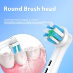 Oral-B Replacement Brush Heads - 12 Pack