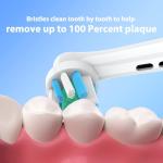 Oral-B Replacement Brush Heads - 12 Pack