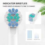 SetSail 8-Pack Replacement Brush Heads for Oral B