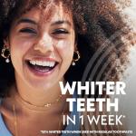 Soft Bristle Replacement Heads for Spinbrush Electric Toothbrush