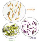 Teeth Protection Wedge Guard - 50 Pack