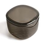 Uouovo No-Leak Denture Bath & Cleaning Box