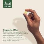 Breath Plus Softgels - Freshen Breath Naturally