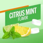 TheraBreath Citrus Mint Chewing Gum with Zinc