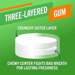 TheraBreath Citrus Mint Chewing Gum with Zinc