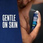 Right Guard Sport Fresh Antiperspirant Spray for Men
