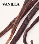 Victoria's Secret PINK Vanilla Hair & Body Mist