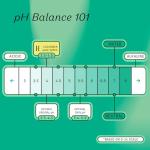 Honey Pot Feminine Wipes - pH Balanced Cucumber Aloe