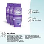 Vagisil Feminine Wash for Healthy Intimate Care