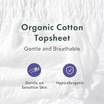 Rael Organic Cotton Disposable Underwear for Women