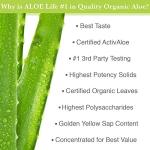 Aloe Life Intimate Moisturizer - Organic Gel (4 oz)