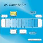 Honey Pot Feminine Wipes - pH Balancing & Gentle