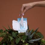 Honey Pot Feminine Wipes - pH Balancing & Gentle