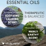 Natural Anti-Itch Beard Oil for Men - 2 FL OZ