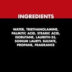 Gillette Foamy Classic Shave Foam - 14.9 Oz