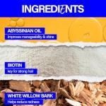 Scotch Porter Leave-In Beard Conditioner - Hydrating & Softening