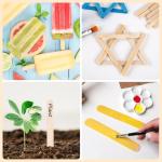 500 Pcs Assorted Wooden Waxing Sticks Set