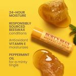 Burt's Bees Original Beeswax Lip Balm - 2 Tubes