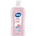 Dial Body Wash, Silk & Magnolia, 32 fl oz