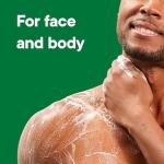 Irish Spring Moisturizing Body Wash for Men
