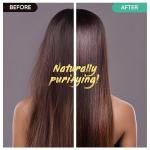 Tea Tree Shampoo Bar - Hydrating Natural Hair Soap