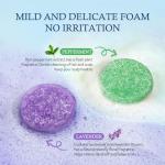 Lavender Mint Shampoo Bar for Oily Hair (2 Pack)